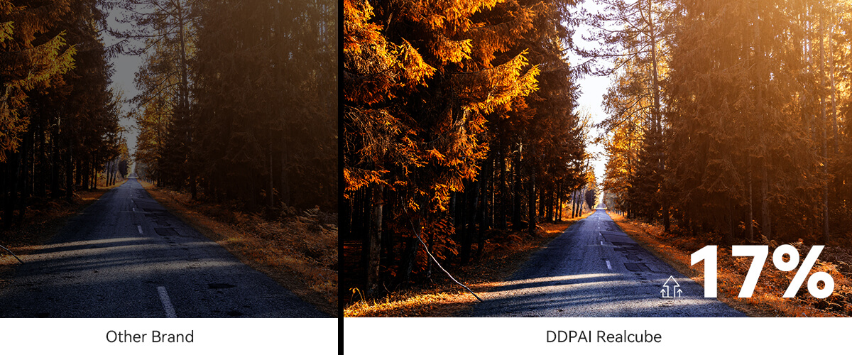 Comparison of a road through a forest in low-light conditions, showcasing Low-Light Scene Enhancement technology, with the left side labeled 'Other Brand' displaying a darker and less visible scene, and the right side labeled 'DDPAI Realcube' illustrating a 17% increase in visibility and enhanced color details.